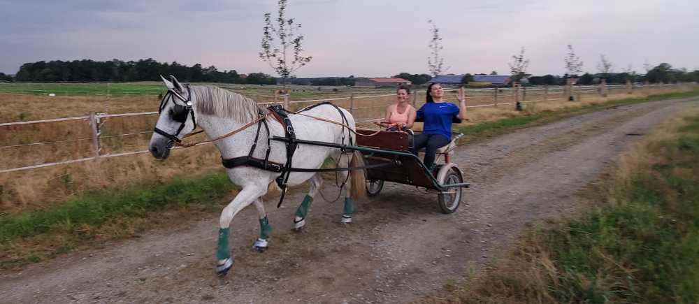 reitanlage_00_01