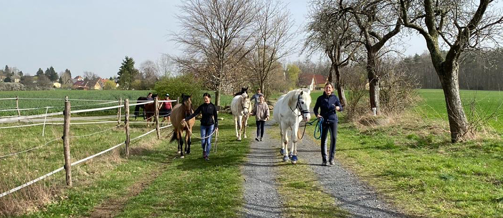 reitanlage_00_14